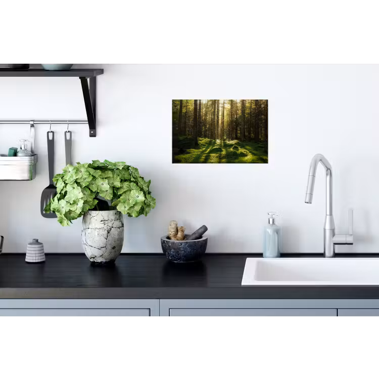 Muursticker - Bomen - Bos - Mos - Planten - Zon - Natuur — 2