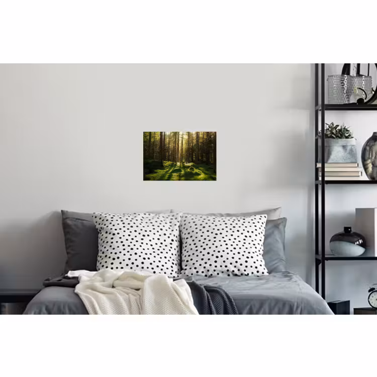 Muursticker - Bomen - Bos - Mos - Planten - Zon - Natuur — 5