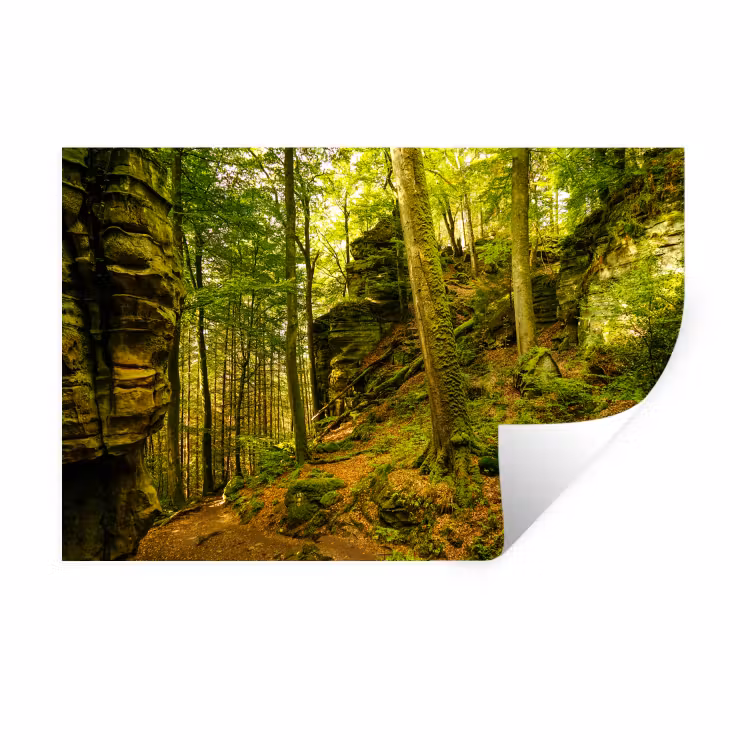 Muursticker - Bomen - Steen - Bos - Natuur - Planten — 1