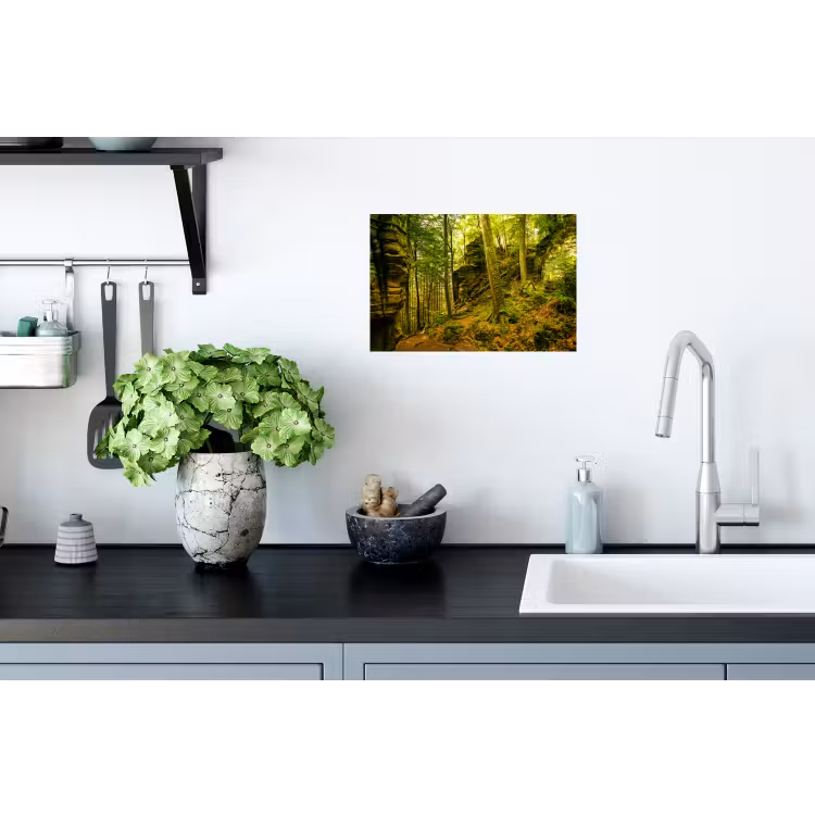 Muursticker - Bomen - Steen - Bos - Natuur - Planten — 2