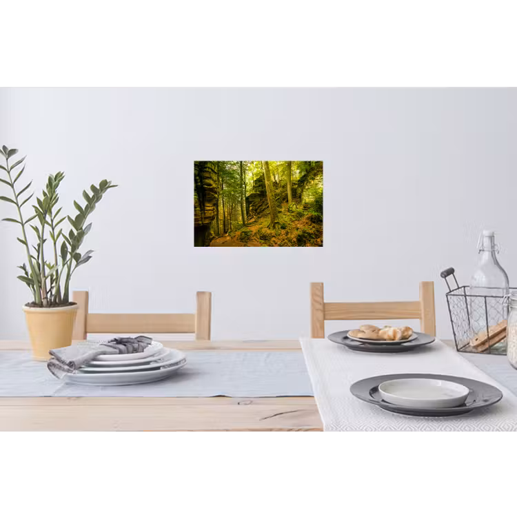 Muursticker - Bomen - Steen - Bos - Natuur - Planten — 3