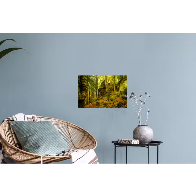 Muursticker - Bomen - Steen - Bos - Natuur - Planten — 4