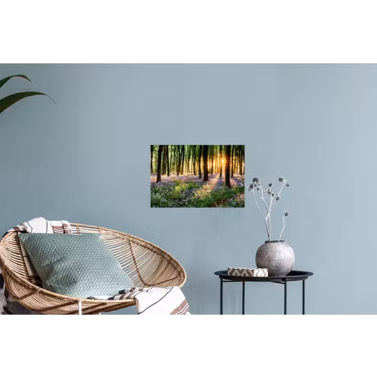 Muursticker - Bos - Bloemen - Lavendel - Zon - Paars - Natuur — 4