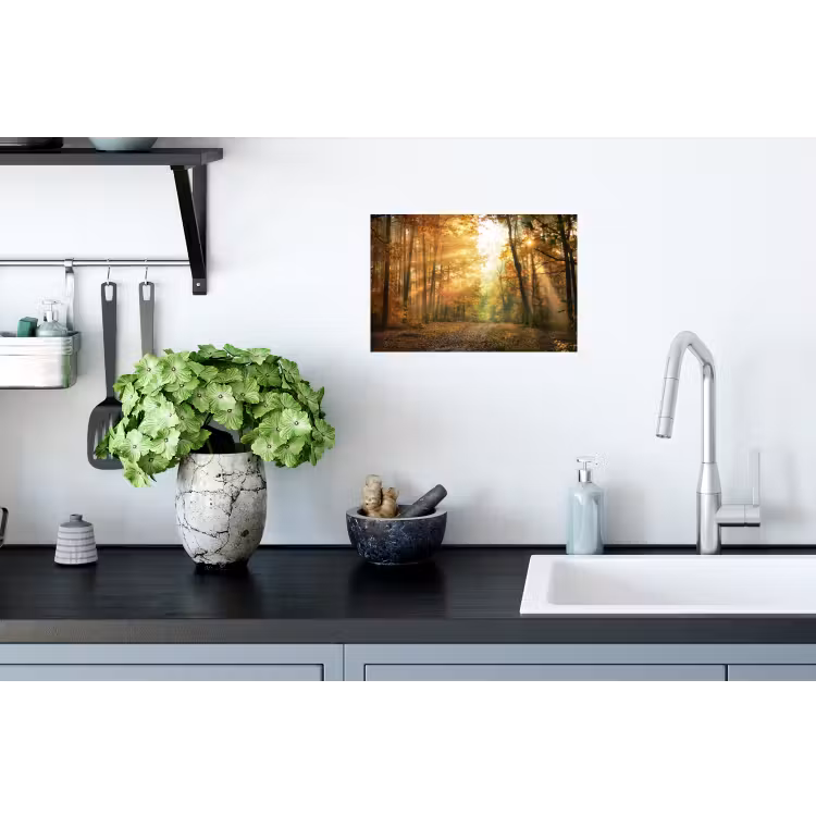 Muursticker - Bos - Herfst - Zon - Landschap - Natuur - Bomen - Bladeren — 2