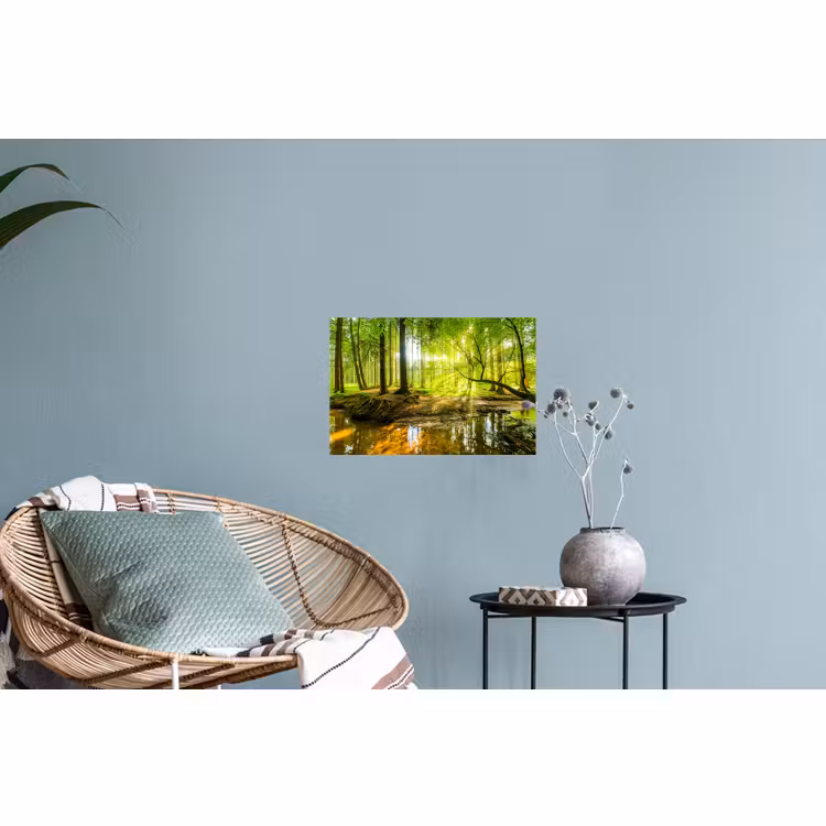 Muursticker - Bos - Landschap - Water - Bomen - Zon - Groen - Natuur — 4