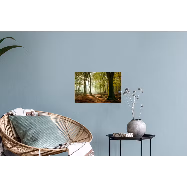 Muursticker - Bos - Zon - Seizoenen - Landschap — 4