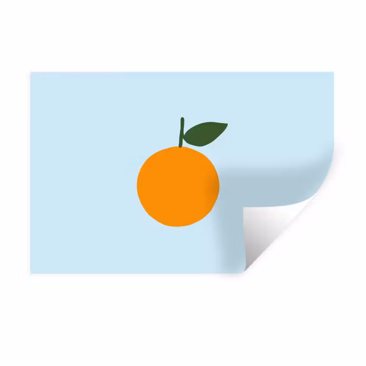 Muursticker - Fruit - Sinaasappel - Oranje — 1