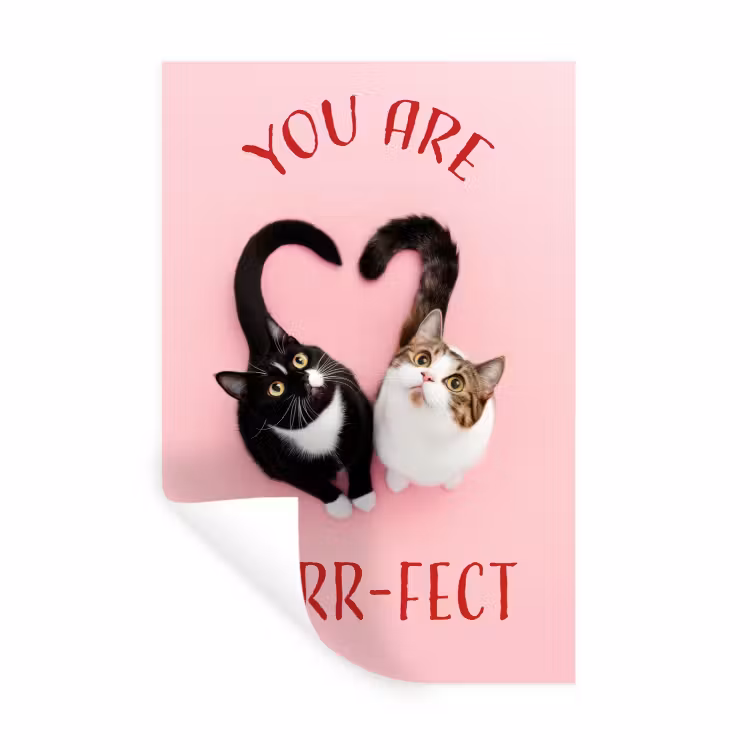 Muursticker - Kat - Hart - Tekst - Valentijn — 1