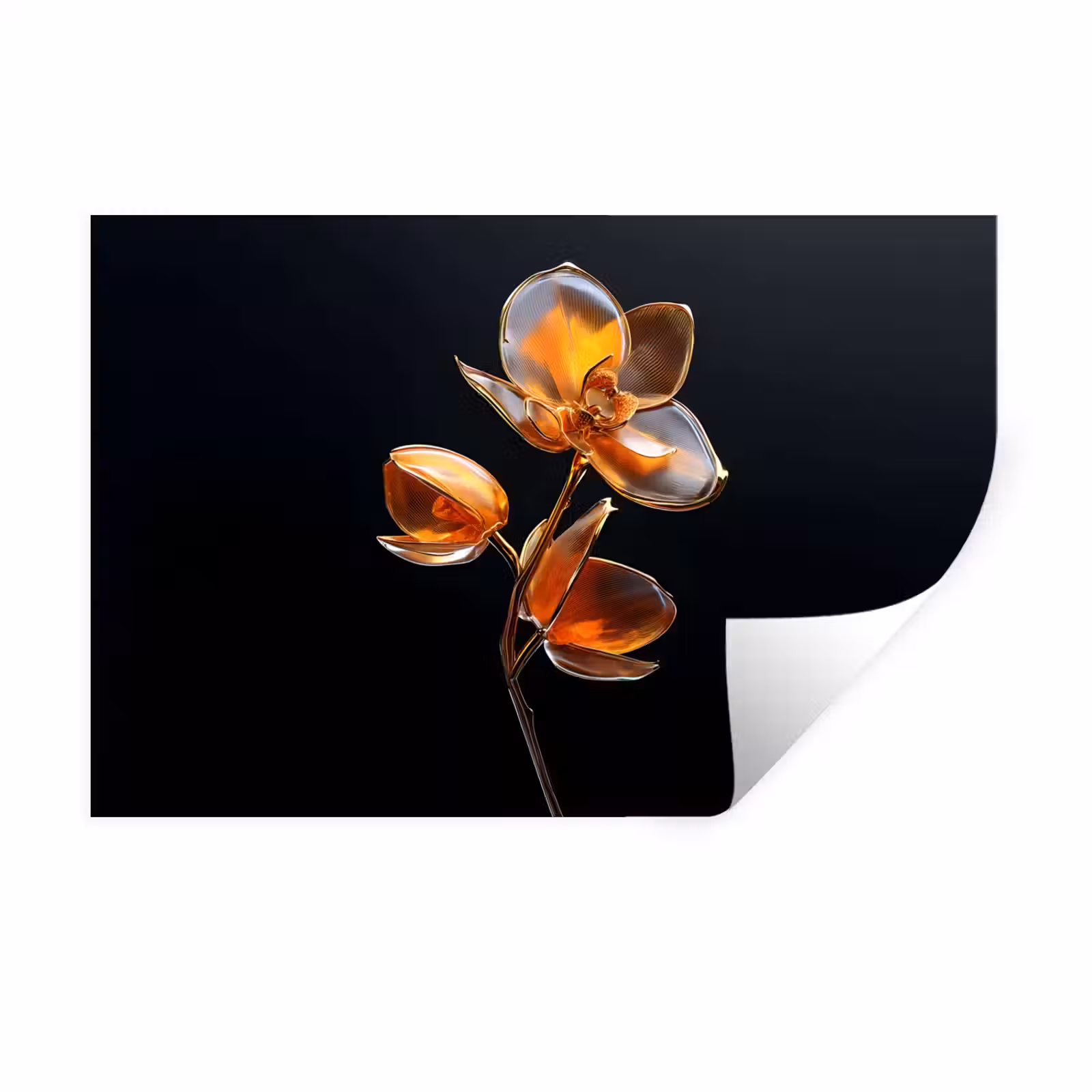 Muursticker - Bloem - Orchidee - Oranje — 1