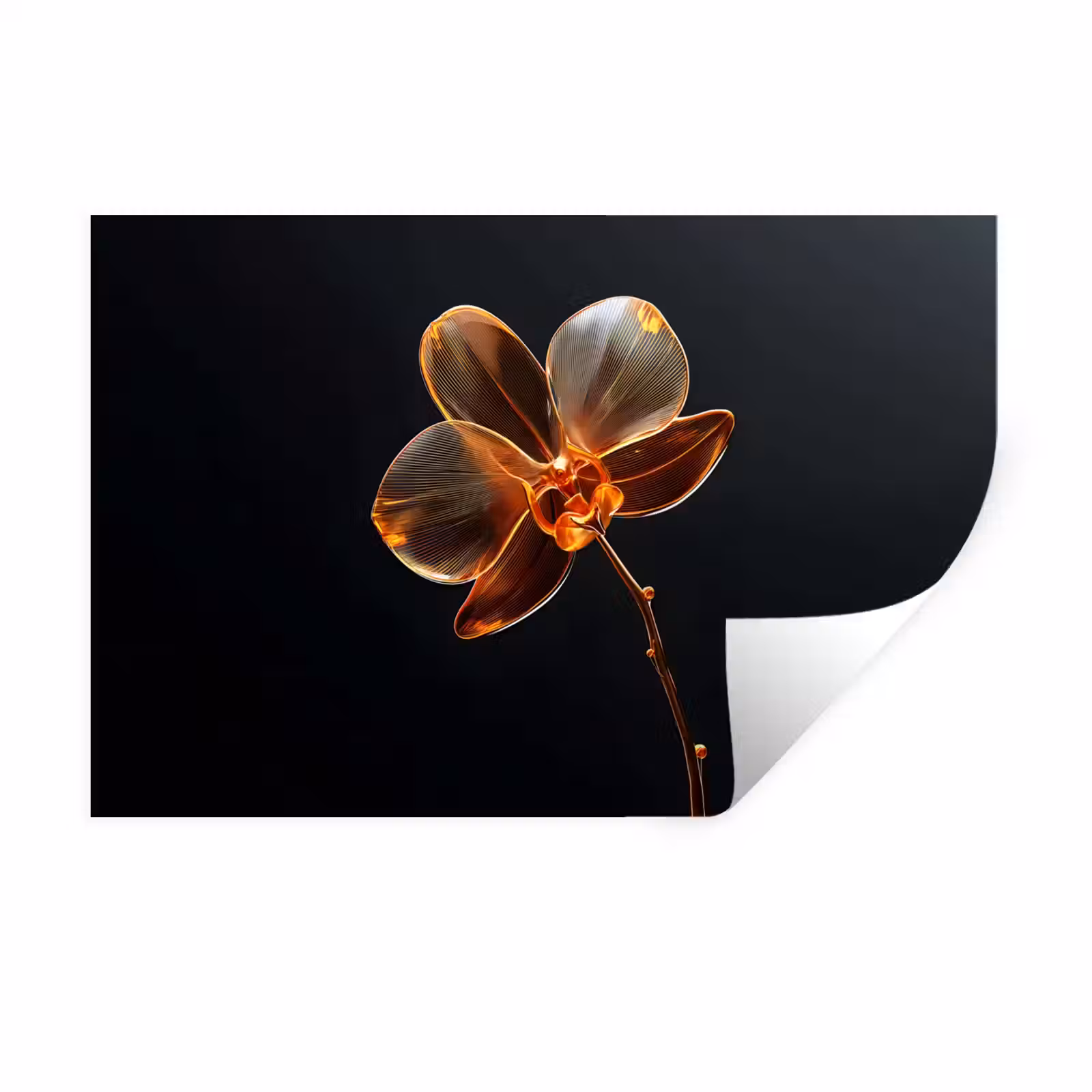 Muursticker - Orchidee - Doorzichtig - Bloem — 1
