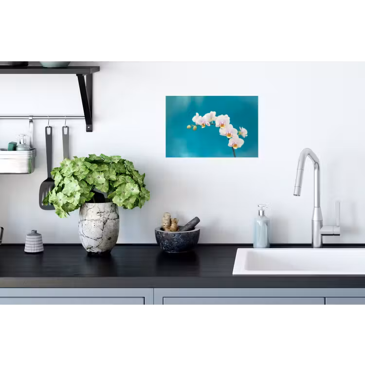 Muursticker - Orchidee - Bloemen - Plant - Wit - Paars — 2