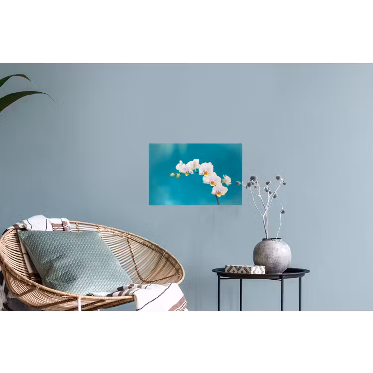 Muursticker - Orchidee - Bloemen - Plant - Wit - Paars — 4