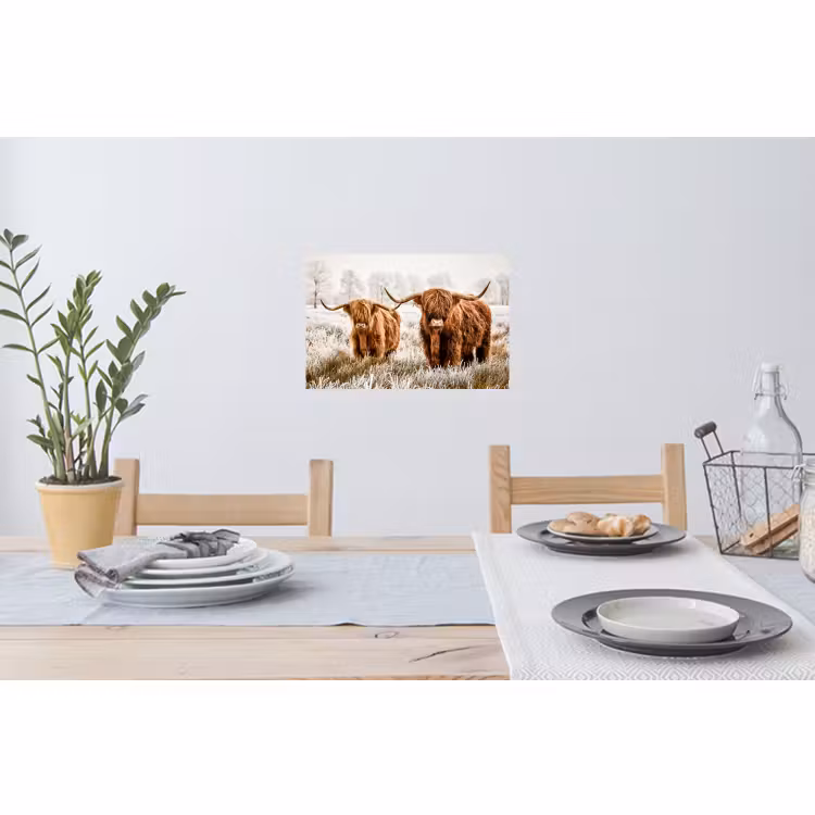 Muursticker - Schotse hooglander - Koe - Natuur - Winter — 3