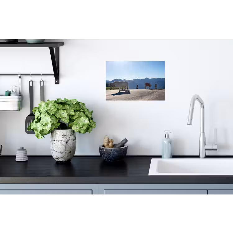 Muursticker - Schotse hooglander - Licht - Berg - Natuur — 2