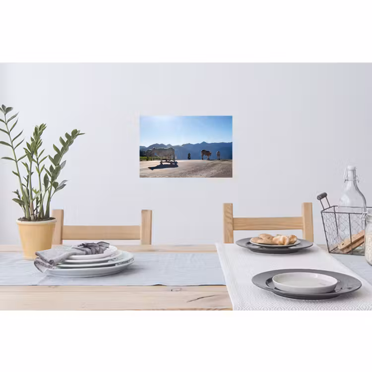 Muursticker - Schotse hooglander - Licht - Berg - Natuur — 3