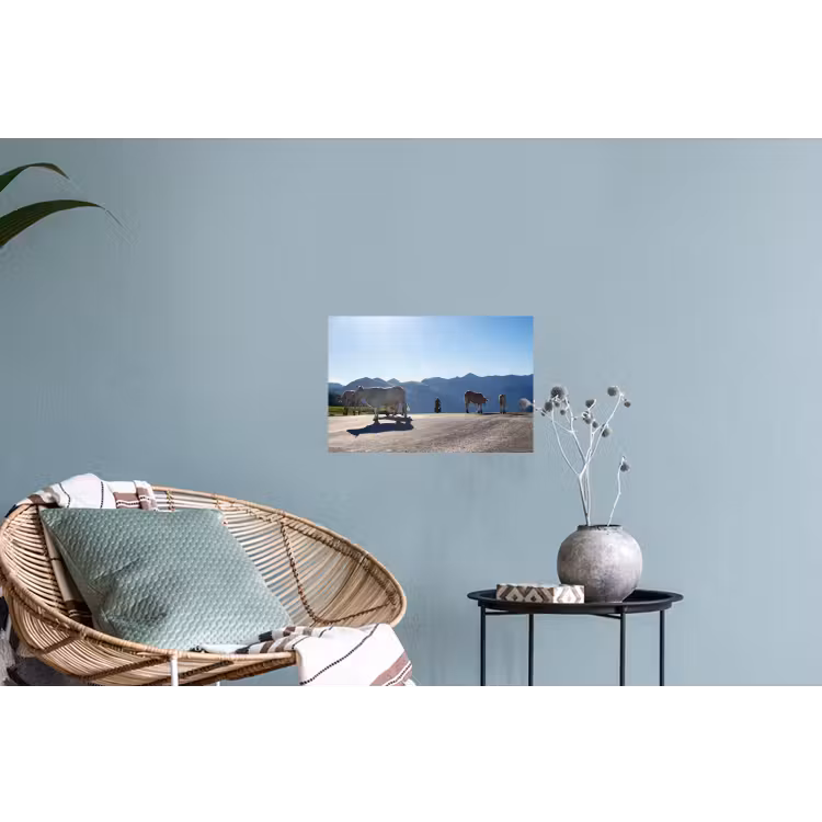 Muursticker - Schotse hooglander - Licht - Berg - Natuur — 4