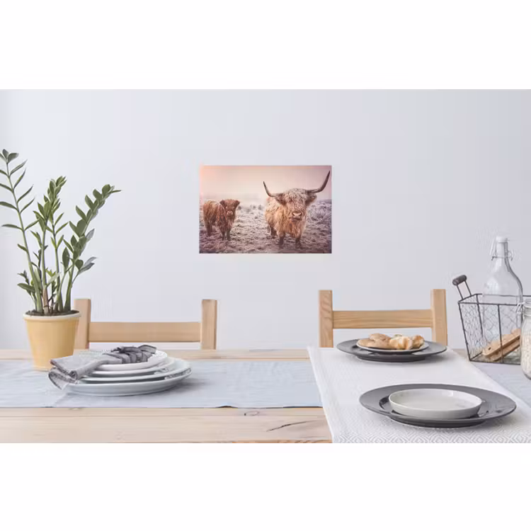 Muursticker - Schotse hooglanders - Licht - Lucht - Natuur — 3