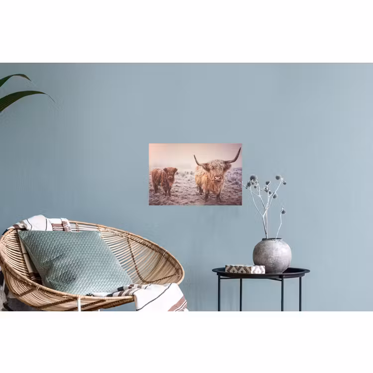 Muursticker - Schotse hooglanders - Licht - Lucht - Natuur — 4