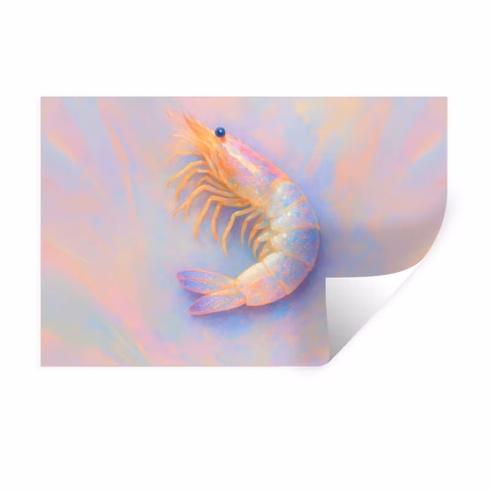 Muursticker - Garnaal - Subtiele structuur - Blauw - Roze — 1