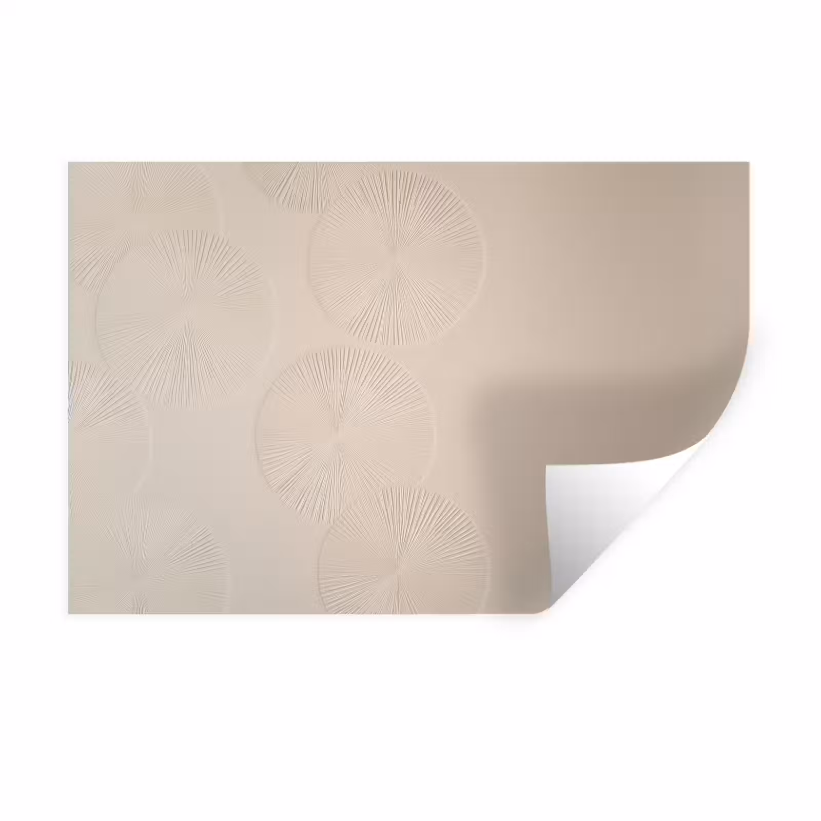 Muursticker - Japandi - Beige - Modern — 1