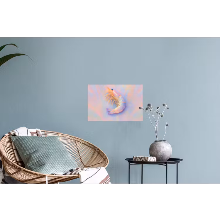 Muursticker - Garnaal - Subtiele structuur - Blauw - Roze — 4