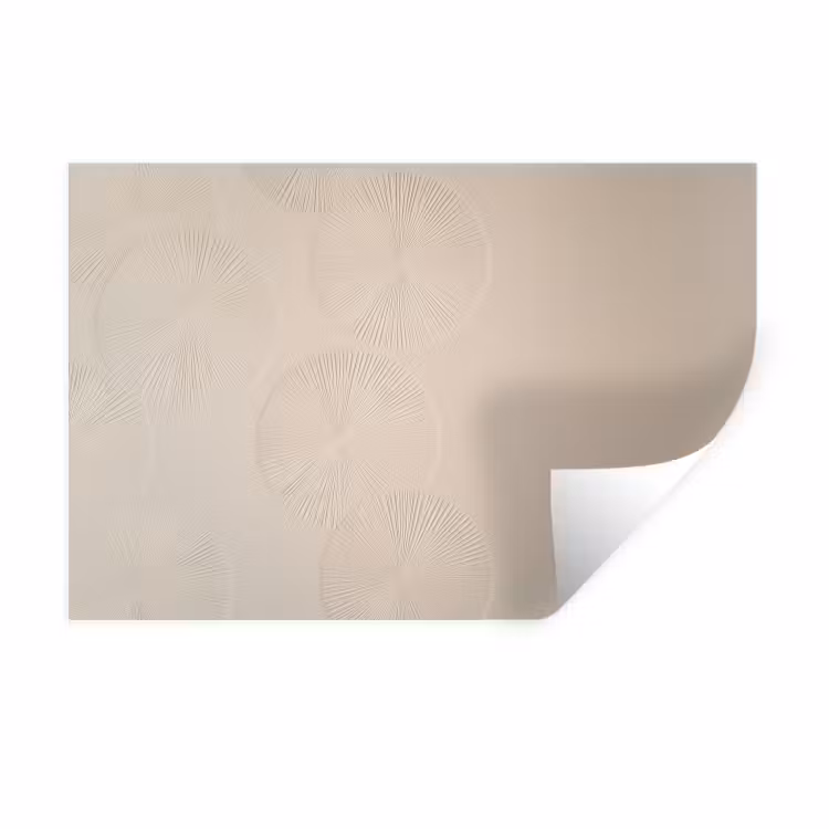 Muursticker - Japandi - Beige - Modern — 1