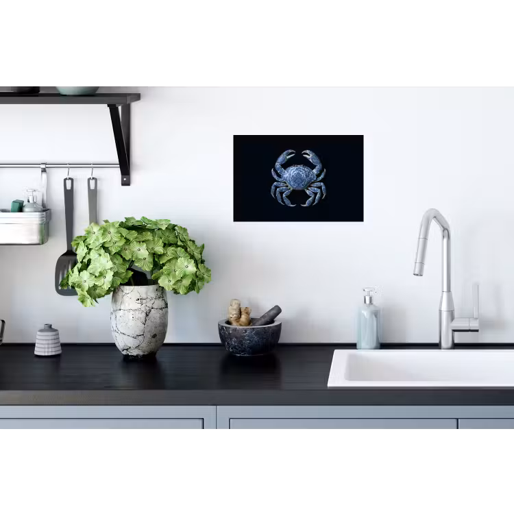 Muursticker - Krab - Delfts blauw - Dieren — 2
