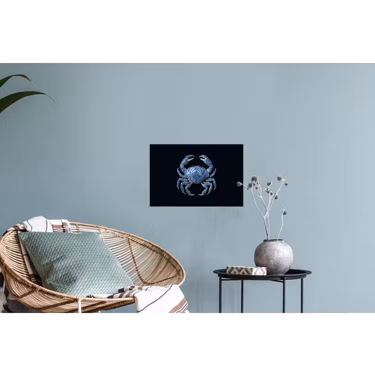 Muursticker - Krab - Delfts blauw - Dieren — 4