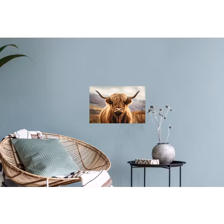 Muursticker - Schotse hooglander - Landschap - Dier — 4