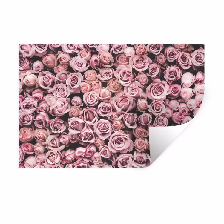 Muursticker - Bloemen - Rozen - Natuur - Roze - Botanisch — 1