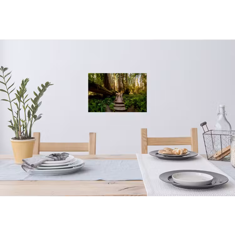 Muursticker - Jungle - Natuur - Trap - Bomen — 3