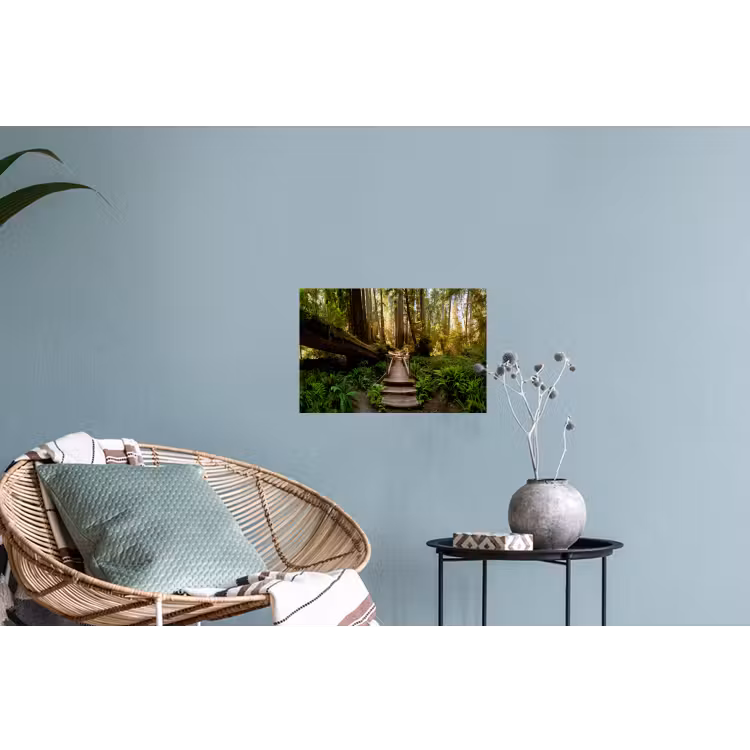 Muursticker - Jungle - Natuur - Trap - Bomen — 4