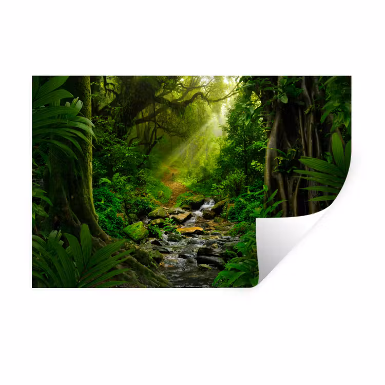 Muursticker - Jungle - Water - Bladeren - Zon - Natuur — 1