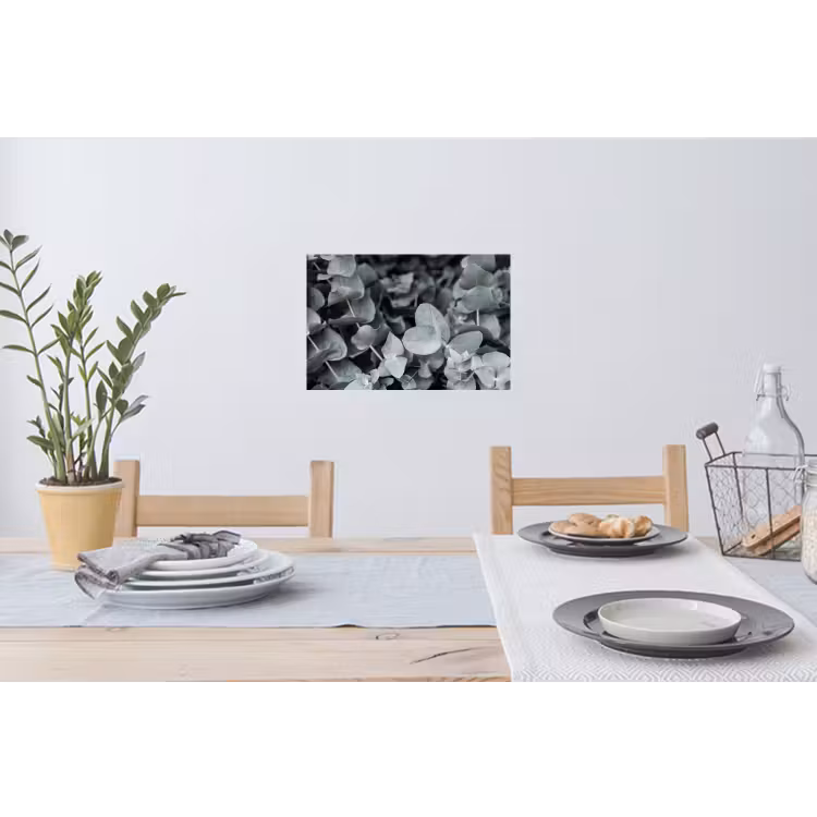 Muursticker - Natuur - Planten - Eucalyptus - Bladeren — 3
