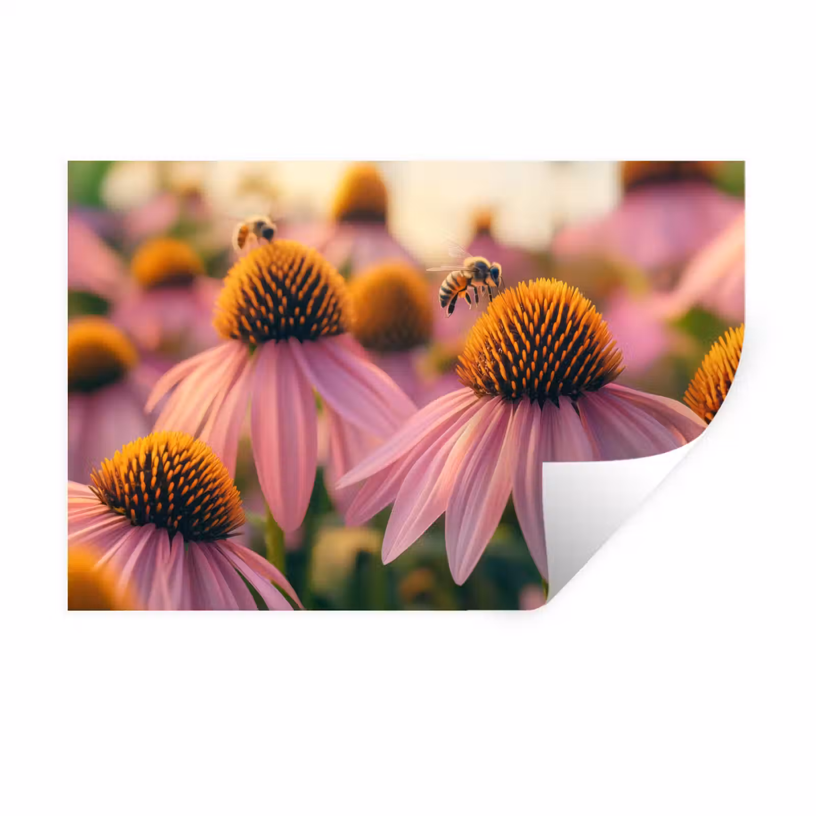 Muursticker - Bloemen - Paars - Bijen — 1
