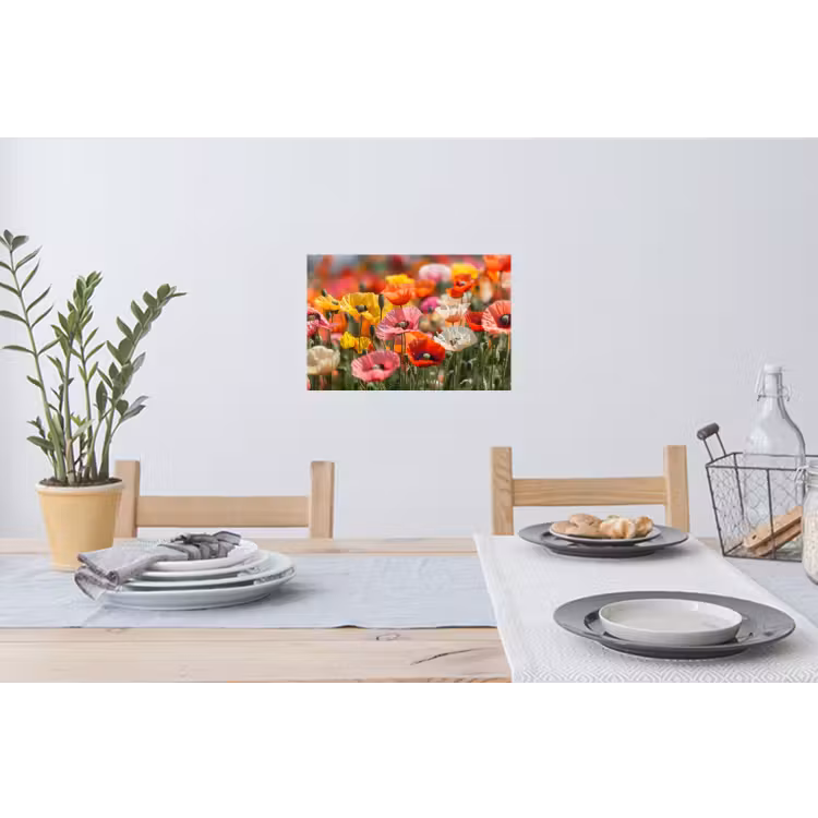 Muursticker - Bloemenveld - Klaprozen - Kleurrijk — 3