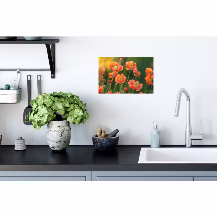 Muursticker - Bloemenveld - Zonnestralen - Oranje — 2