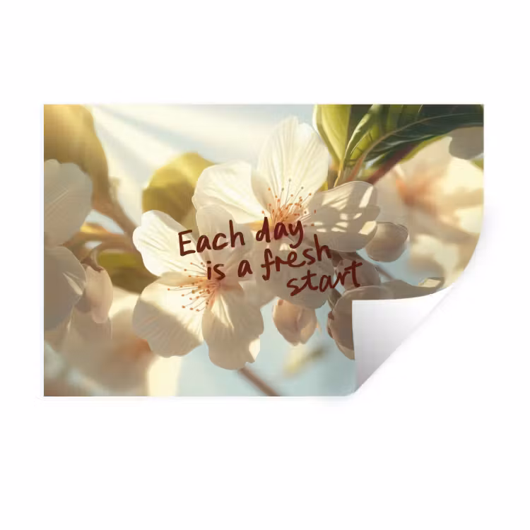 Muursticker - Bloesems - Zonlicht - Quote - Wit — 1