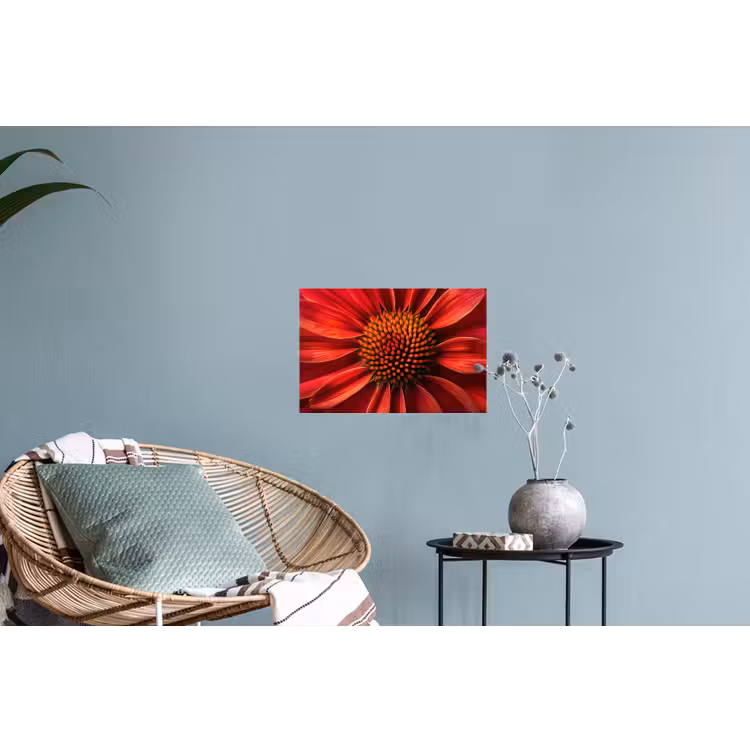 Muursticker - Close up - Bloem- Rood — 4