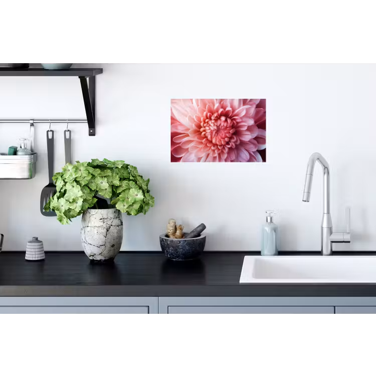 Muursticker - Dahlia - Bloem - Close up - Roze — 2
