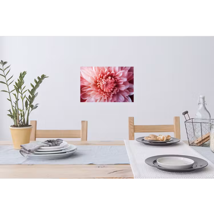 Muursticker - Dahlia - Bloem - Close up - Roze — 3