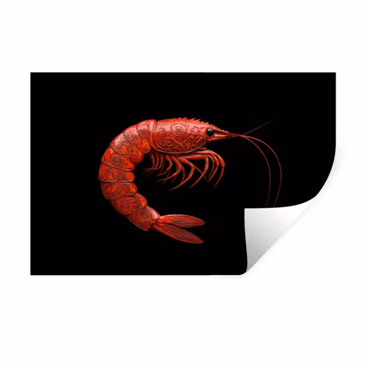 Muursticker - Garnaal - Rood - Dieren — 1