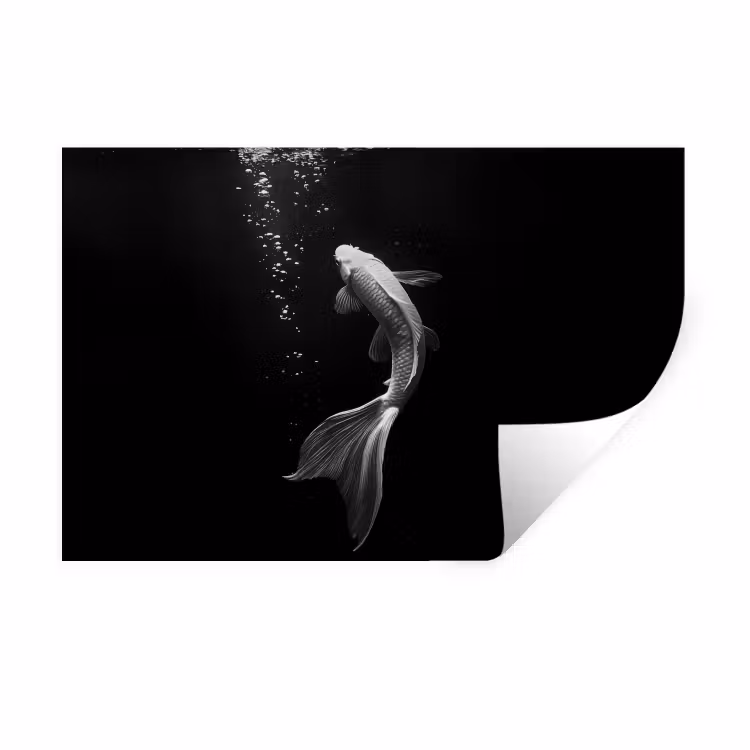 Muursticker - Koi - Vis - Wit - Zwart — 1