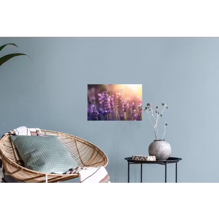 Muursticker - Lavendelbloemen - Paars - Zonlicht — 4