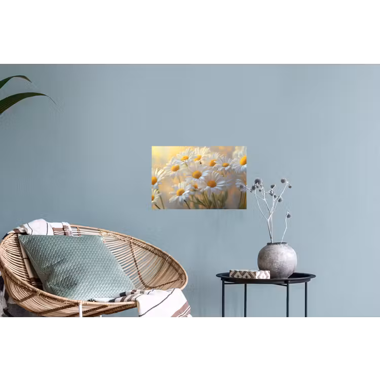 Muursticker - Madeliefjes - Wit - Zonlicht — 4