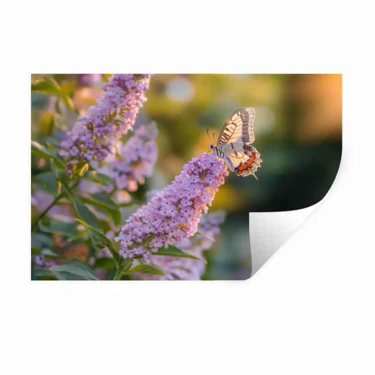 Muursticker - Sierlijke - Vlinder - Paarse - Bloemen — 1
