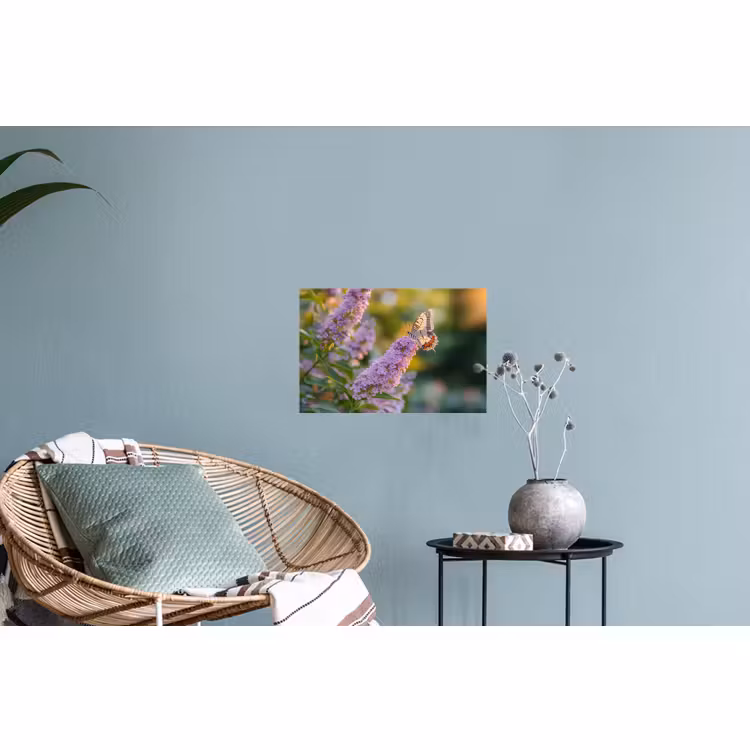 Muursticker - Sierlijke - Vlinder - Paarse - Bloemen — 4