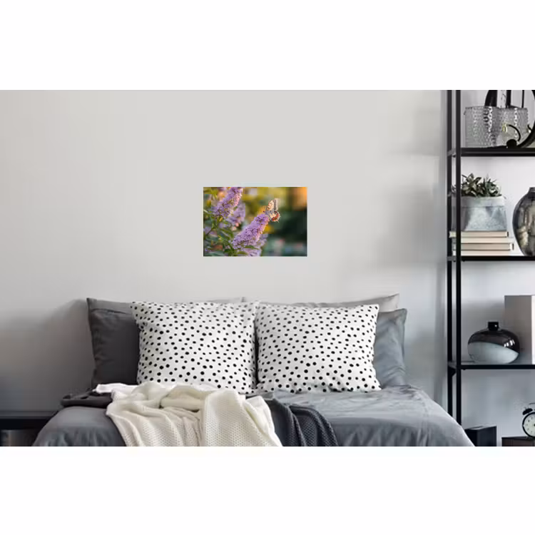 Muursticker - Sierlijke - Vlinder - Paarse - Bloemen — 5
