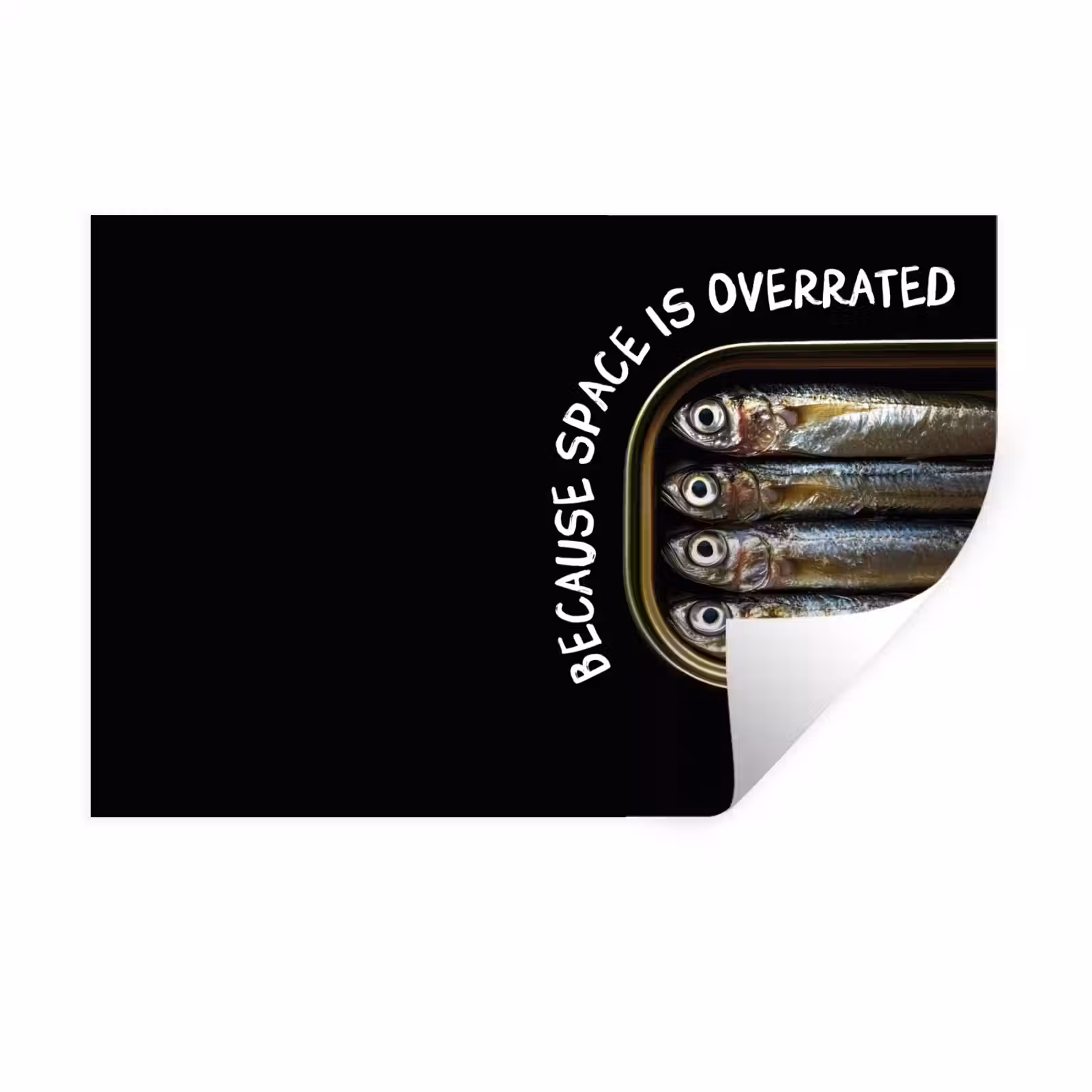 Muursticker - Sardines - Tekst - Vis - Blik — 1