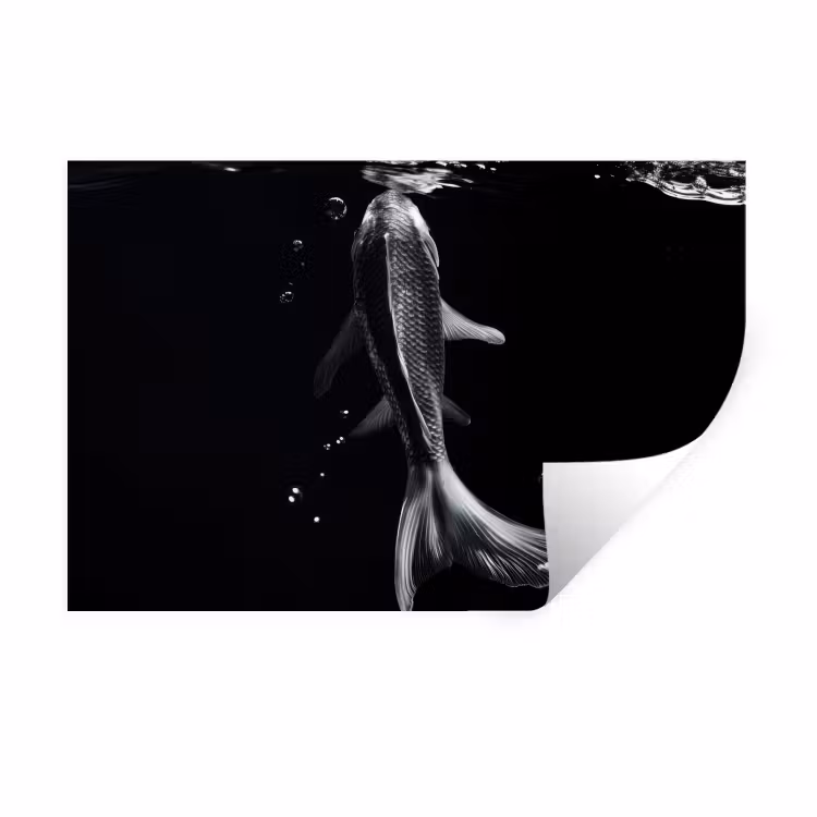 Muursticker - Koi - Vissen - Water - Zwart — 1